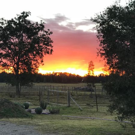 Lovedale Red Gum Cottage Eksteriør bilde