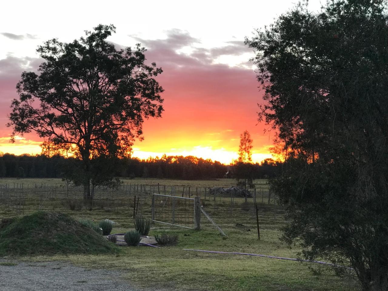 Lovedale Red Gum Cottage Eksteriør bilde