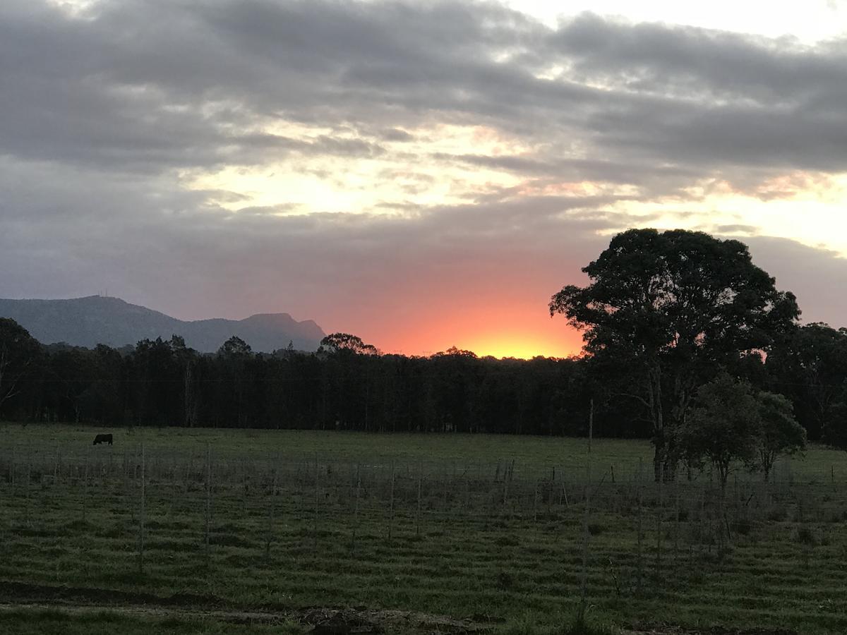 Lovedale Red Gum Cottage Eksteriør bilde
